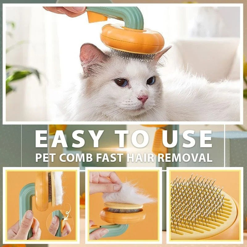 pet brush مشط لإزالة شعر القطط